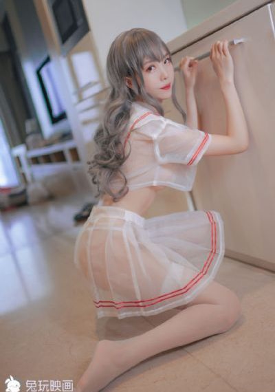 妖狐苏妲己