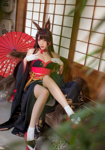 布衣天子