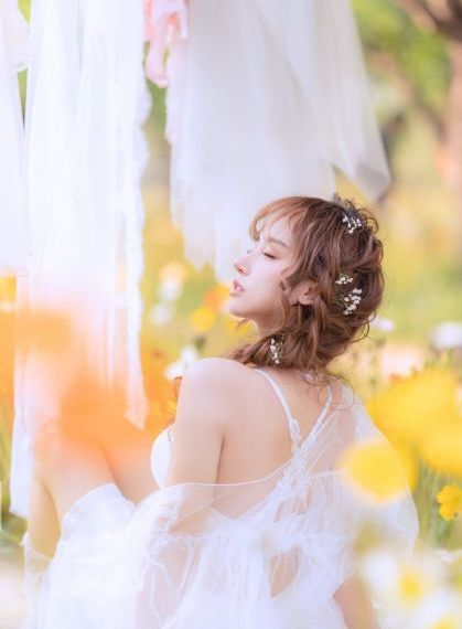 杀尽豺狼