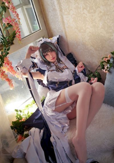 加菲猫家族